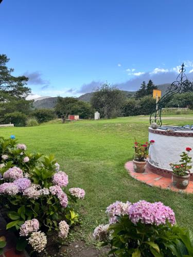 un jardín con flores rosas y un baño de aves en Descanso Perfecto en Tafí del Valle en Tafí del Valle
