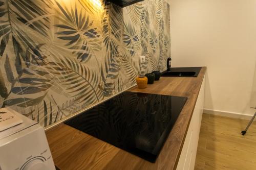 san blas apartment photo 14