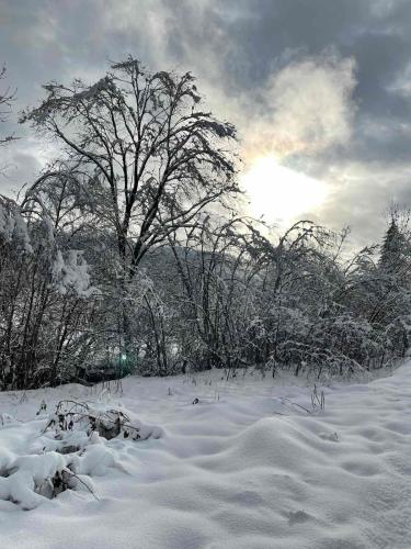 a snow covered field with trees in the background at House Menchul in Mala Uhol'ka