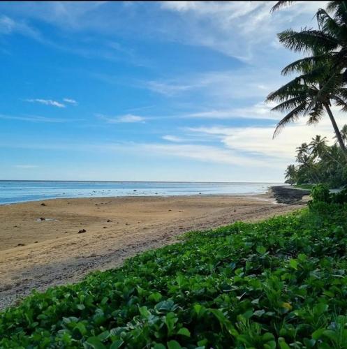 einen Strand mit einer Palme und dem Meer in der Unterkunft Fiji Bucket in Tangangge