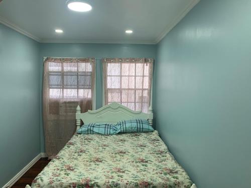 a bedroom with a bed and two windows at Vacation home rental in Georgetown