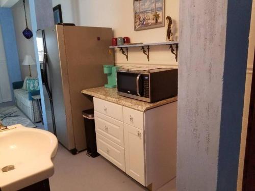 a kitchen with a microwave on a counter with a refrigerator at The Seahorse Apt - Lakeside and Close to the Beach in Galveston