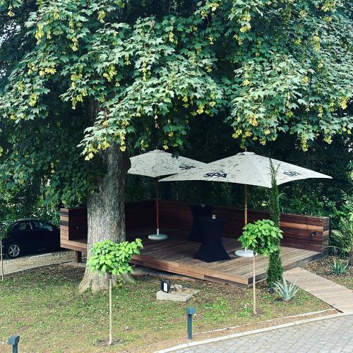two umbrellas sitting on a bench under a tree at Villa les érables Restaurant Linea in Spa