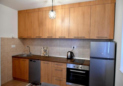Η κουζίνα ή μικρή κουζίνα στο Apartman Jezero
