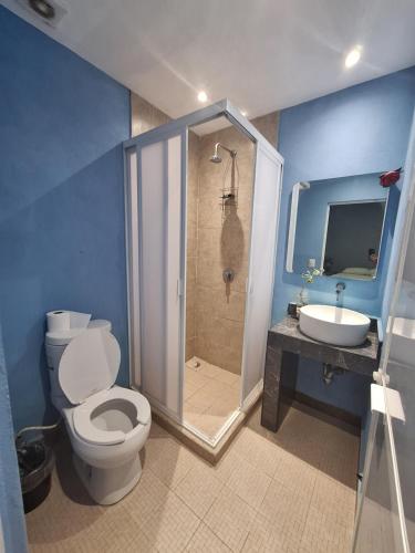 a bathroom with a shower and a toilet and a sink at LA CASA AZUL DE SAMARA in Barrio Nuevo