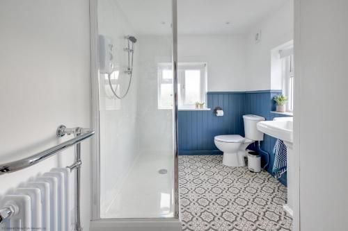 a bathroom with a shower and a toilet and a sink at Stonemason's Cottage in South Cerney