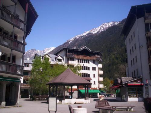 2 Pièces Sud-Est Chamonix, Parking & Animaux admis