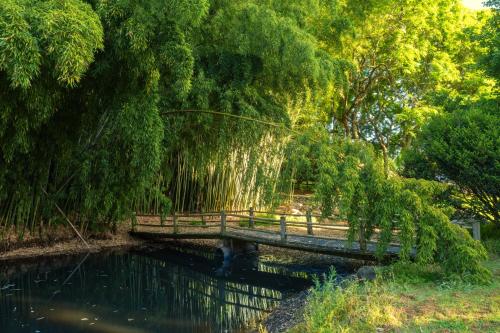 a wooden bridge over a river with trees at Hana Lodge in Rotorua