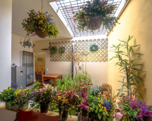 a room filled with lots of different types of flowers at HOSTAL RIVAS INNS in Rivas