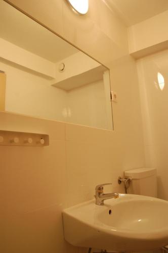 a bathroom with a sink and a mirror at Residence Meljska in Maribor