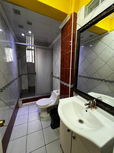 Hotel Thesalia في سانتياغو: حمام به مرحاض أبيض ومغسلة