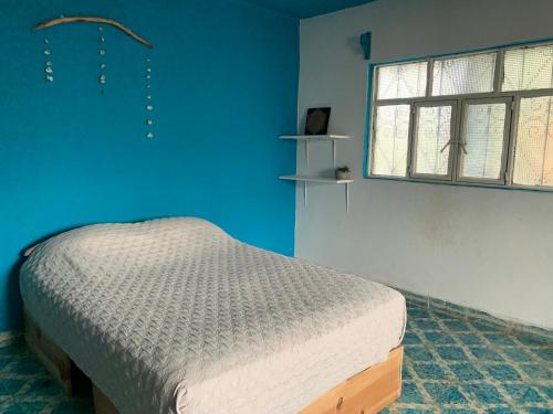 a bedroom with a bed with a blue wall and a window at LAM Casa Hostal in San Cristóbal de Las Casas