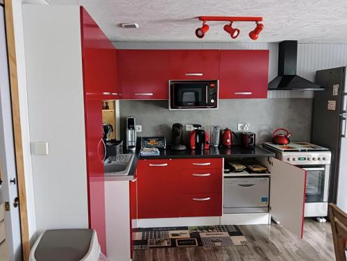małą kuchnię z czerwonymi szafkami i kuchenką mikrofalową w obiekcie Les Aigus w mieście Saint-Pierre