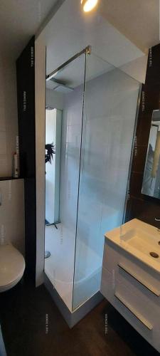 une salle de bain avec une douche en verre et un lavabo dans l'établissement Résidence Port Venus - Studio 2 pers. - Port Vénus MAE-4334, au Cap d'Agde