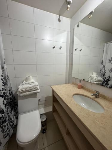 La salle de bains est pourvue d'un lavabo, de toilettes et d'un miroir. dans l'établissement Amoblados Chilerent Mor, à Santiago
