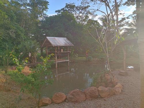 eine kleine Hütte neben einem Wasserkörper in der Unterkunft Cabinas casa Jungla in Drake