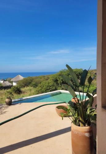 a plant in a pot next to a swimming pool at Casa Naya in Puerto Escondido