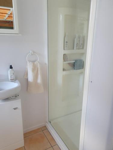 a bathroom with a shower and a sink at Mangaroa, farmstay in Upper Hutt