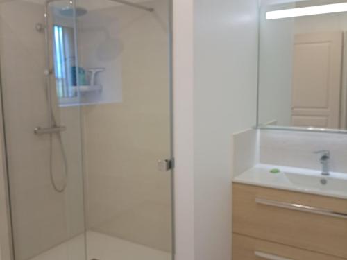 a bathroom with a glass shower and a sink at Maison calme avec grand jardin en Berry, proche Châteauroux - FR-1-591-372 in Arthon