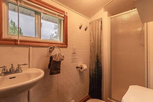 a bathroom with a shower and a sink at Refuge Rustic bordé par rivière et la nature in Sainte-Germaine-du-Lac-Etchemin