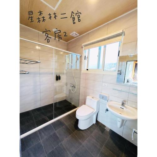 a bathroom with a toilet and a sink at 星森林包棟住宿-台中東勢-山區景觀 in Dongshi