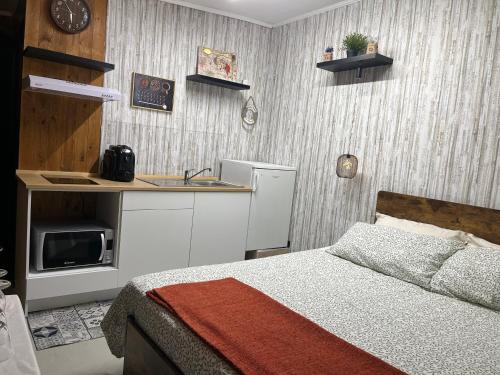 a bedroom with a bed and a kitchen with a sink at Lo Chalet between Pisa and Cinque Terre in Carrara