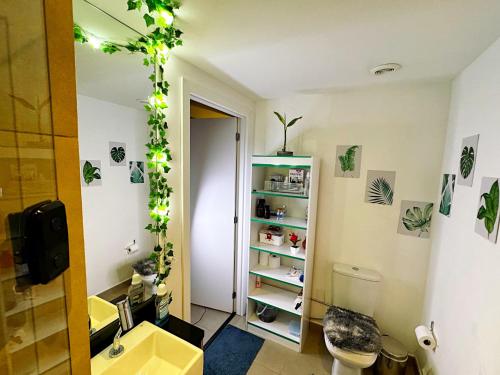 a bathroom with a toilet and a shelf with plants at Studio Aconchego 115. Novo Ed. On Imarés - Moema. in Sao Paulo