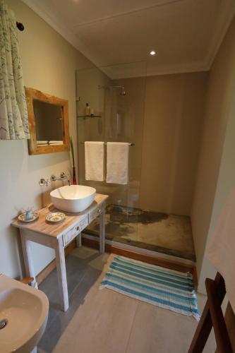 a bathroom with a sink and a shower at Gemstone Farm in Plettenberg Bay