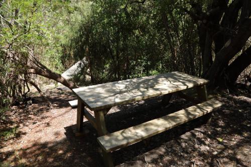 a picnic table and a bench in the woods at Gemstone Farm in Plettenberg Bay
