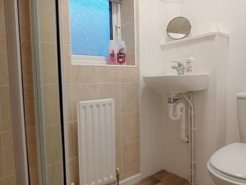 a bathroom with a toilet and a sink and a window at Hill View Studio in Hawick