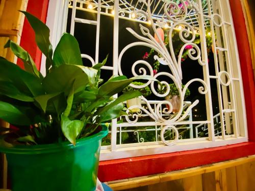 roślina doniczkowa siedząca przed oknem w obiekcie Wind Hill Homestay Hà Giang 