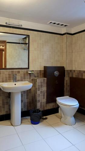 a bathroom with a toilet and a sink at Hotel Executive Tower in Kolkata