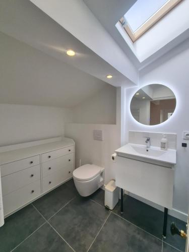 une salle de bain avec toilettes, lavabo et miroir dans l'établissement Villa St-Gau, à Saint-Gaudens