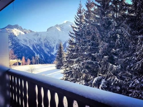 Résidence Le Midi - Studio pour 4 Personnes 304