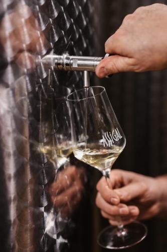 a person pouring a glass of white wine at Weingut Assigal in Leibnitz