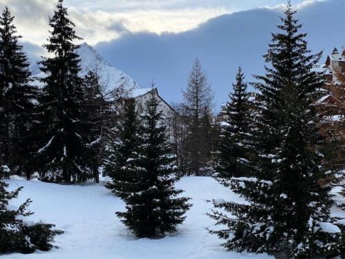 Résidence Cote Brune 3 - Studio pour 5 Personnes 364