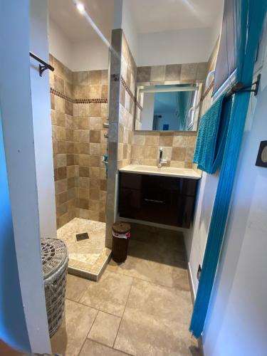 une salle de bain avec un lavabo et une douche dans l'établissement Villa valle longa capicciola, à Sainte-Lucie de Porto-Vecchio