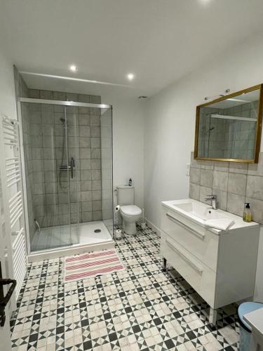 a bathroom with a shower and a sink and a toilet at Jardin des Remparts in Orthez
