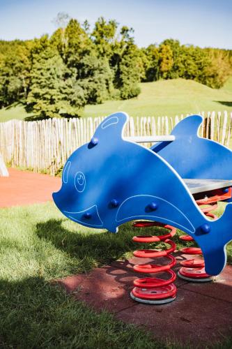 a blue dolphin playground equipment in the grass at TILL Naturhotel - Self-Check-In in Satteins