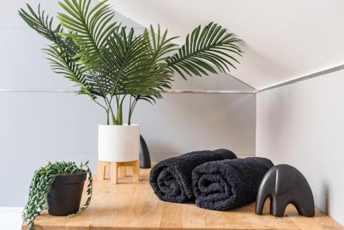 une chambre avec une plante et des serviettes sur une table dans l'établissement Bienvenue à Jungle Chic, à Bourgoin-Jallieu