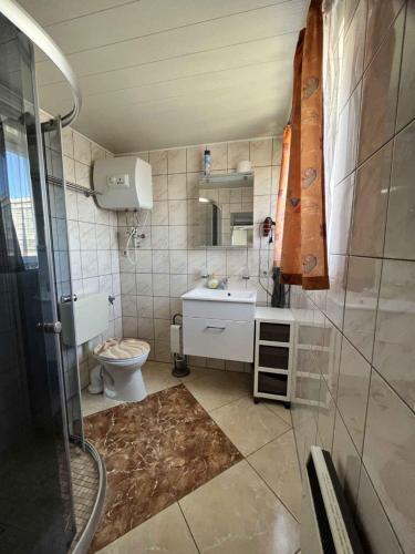 ein Bad mit einem WC, einem Waschbecken und einer Dusche in der Unterkunft Apartment Ummanz 1 in Lieschow