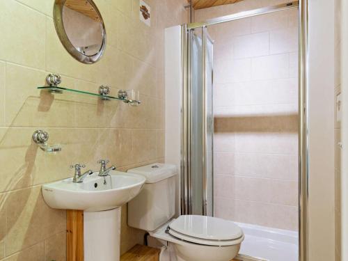 a bathroom with a toilet and a sink and a shower at Tiptoe Barn in Liskeard