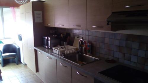 uma cozinha com um lavatório e uma bancada em Sombang em Ferney-Voltaire