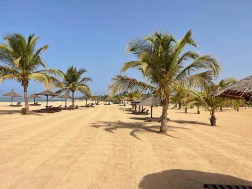 a sandy beach with palm trees and umbrellas at Agence Adjana Resort in Saly Portudal