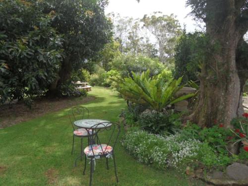 two chairs and a table in a garden at Moonya Avocado Farm Cottage - with early check-in in Mount Tamborine
