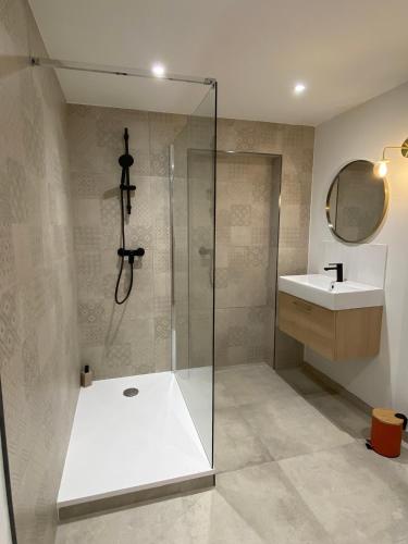 a bathroom with a shower and a sink at Appartement confortable in Soufflenheim