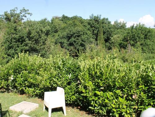 a white chair sitting in the middle of a garden at Donna Etrusca in Sutri