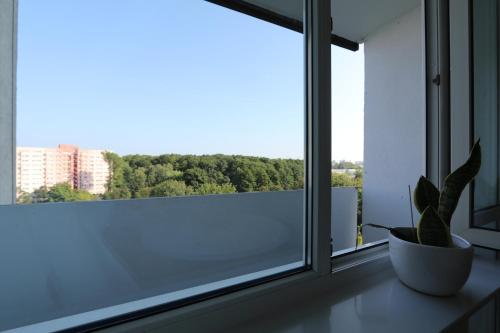 roślina doniczkowa siedząca na parapecie z widokiem w obiekcie Słodowiec Residence /medium Żoliborz Bielany/ w Warszawie