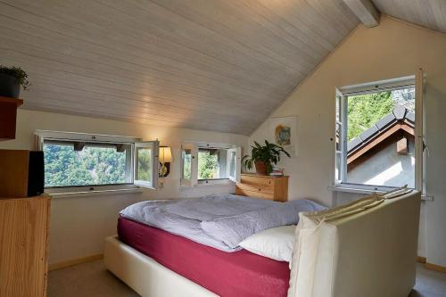 - une chambre avec un lit et 2 fenêtres dans l'établissement Wild Valley Ticino Vista in Valle Onsernone, à Auressio