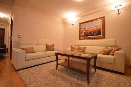 Χώρος καθιστικού στο Villa Darko - VIP Accomodations